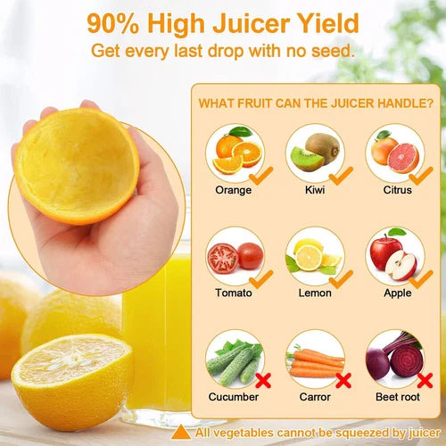 Automatic Citrus Fruit Juicer